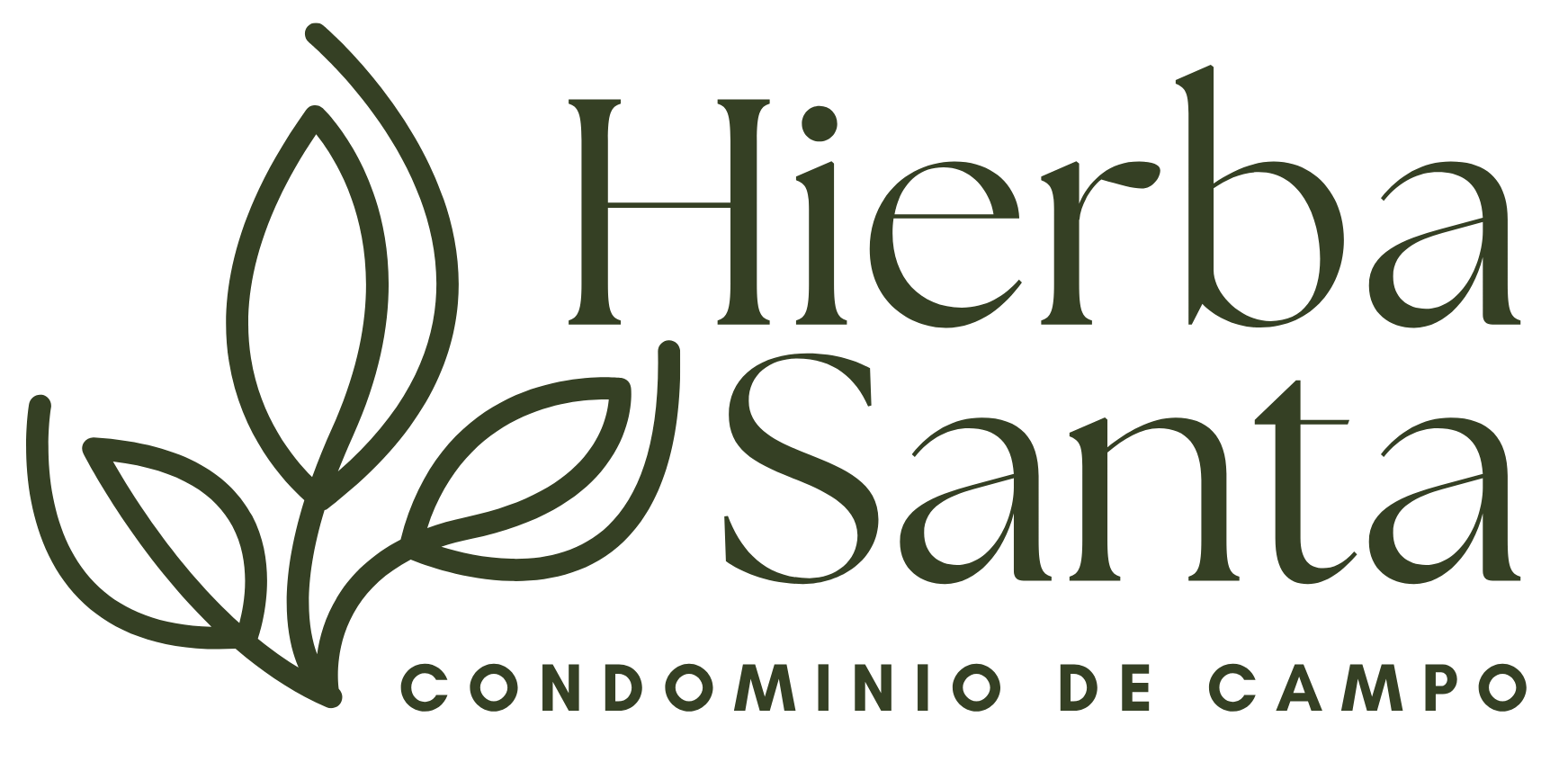 Logo Verde